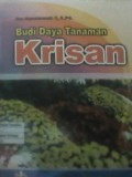 Budi Daya Tanaman Krisan