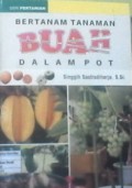 Bertanam tanaman buah dalam pot