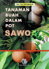 Tanaman Buah Dalam Pot Sawo