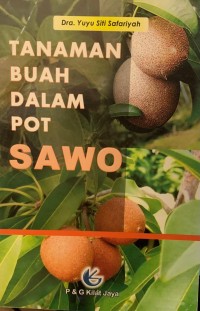 Tanaman Buah Dalam Pot Sawo